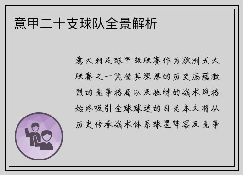 意甲二十支球队全景解析